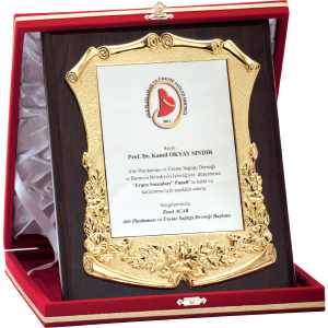 Özel Plaket 20×25 cm