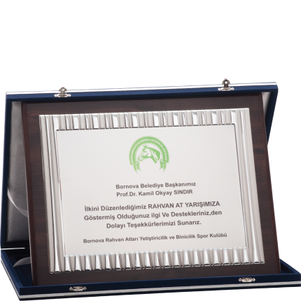 Özel Plaket 30x38 cm