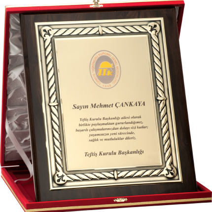 Özel Plaket 30x38 cm