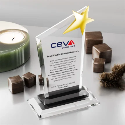 PB356 Kristal Plaket