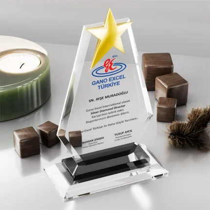 PB358 Kristal Plaket