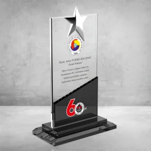 PB604 Kristal Plaket