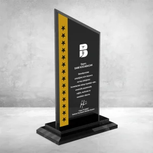 PB607 Kristal Plaket
