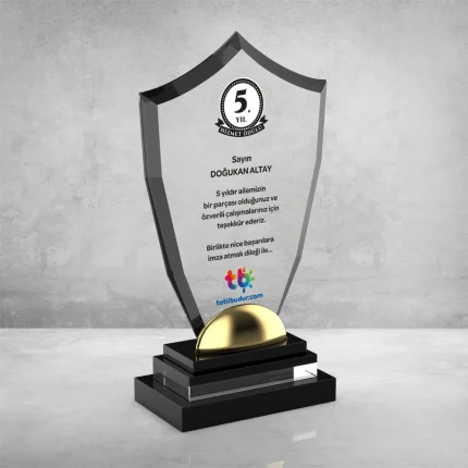 PB706 Kristal Plaket