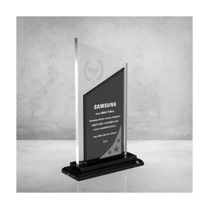 PB802 Gümüş Kristal Plaket