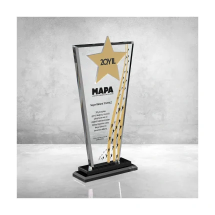 PB804-ALTIN Kristal Plaket