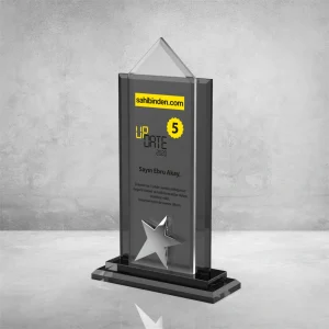PB901 Kristal Plaket