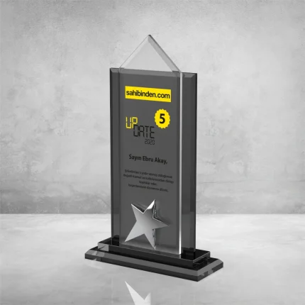 PB901 Kristal Plaket