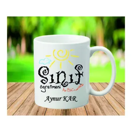 Sınıf Öğretmeni 2