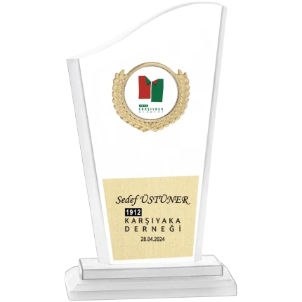 Cam Plaketler CM-010 - 12x22 cm