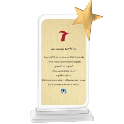 Cam Plaketler CM-023 - 14x23 cm