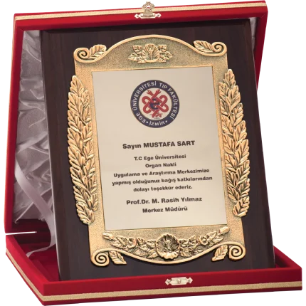 Özel Plaketler LX-011 - 20x25 cm